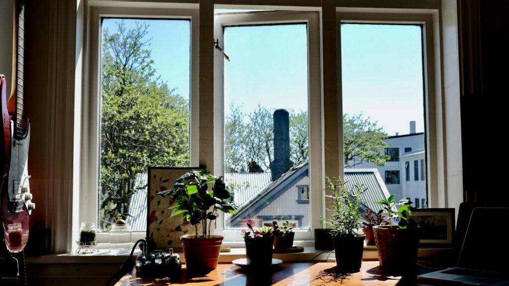 Bureau installé devant une grande fenêtre baignée de soleil avec plantes en pot